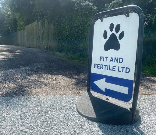 Perditas Pet Services & Fit and Fertile