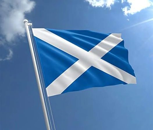 Mobile BAER and Puppy Assessments in Scotland